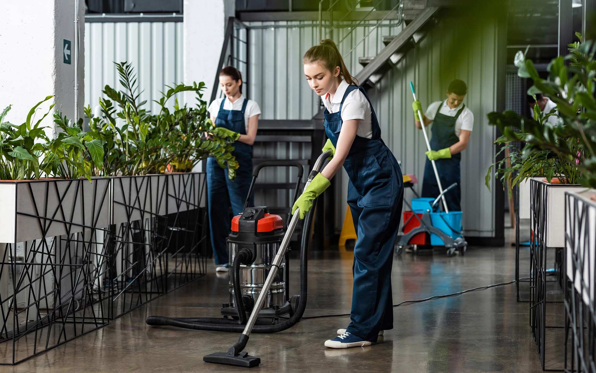 Strata Cleaning