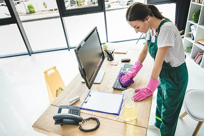 Professional Cleaning Service